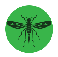 Targeted Florida Pest Control