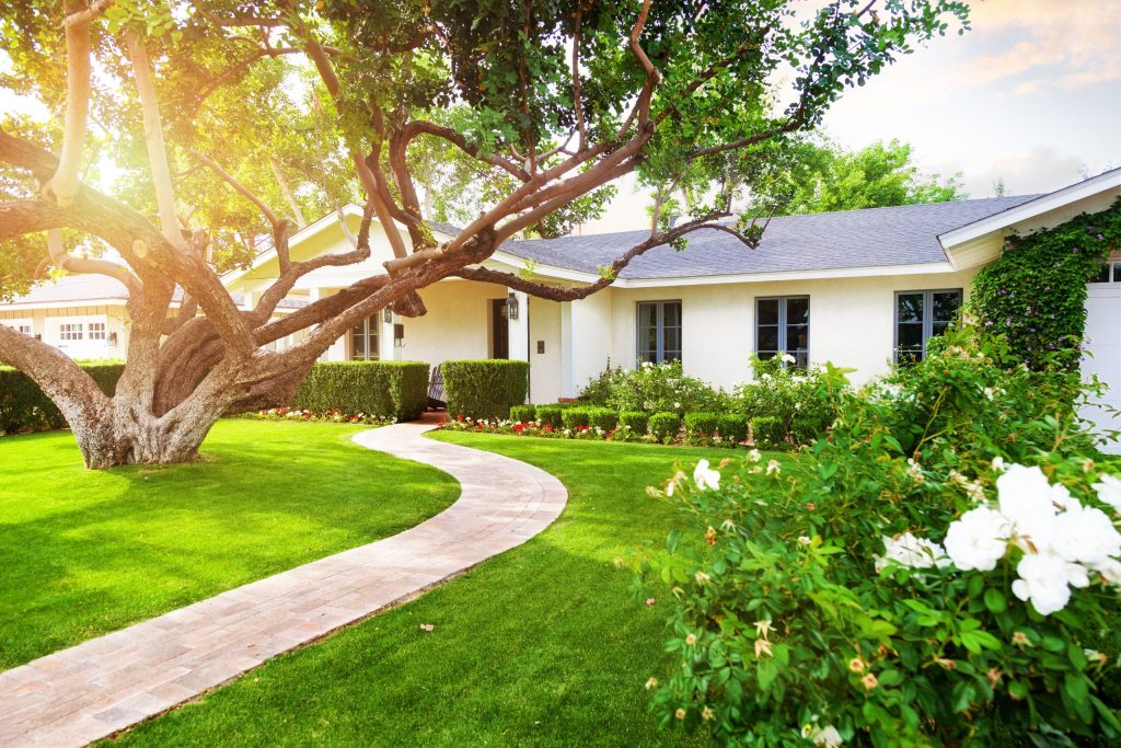 professional Florida lawn care and landscaping
