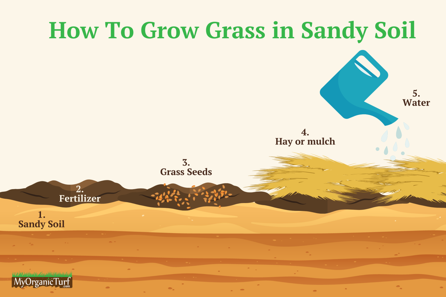 Best grass for sandy soil