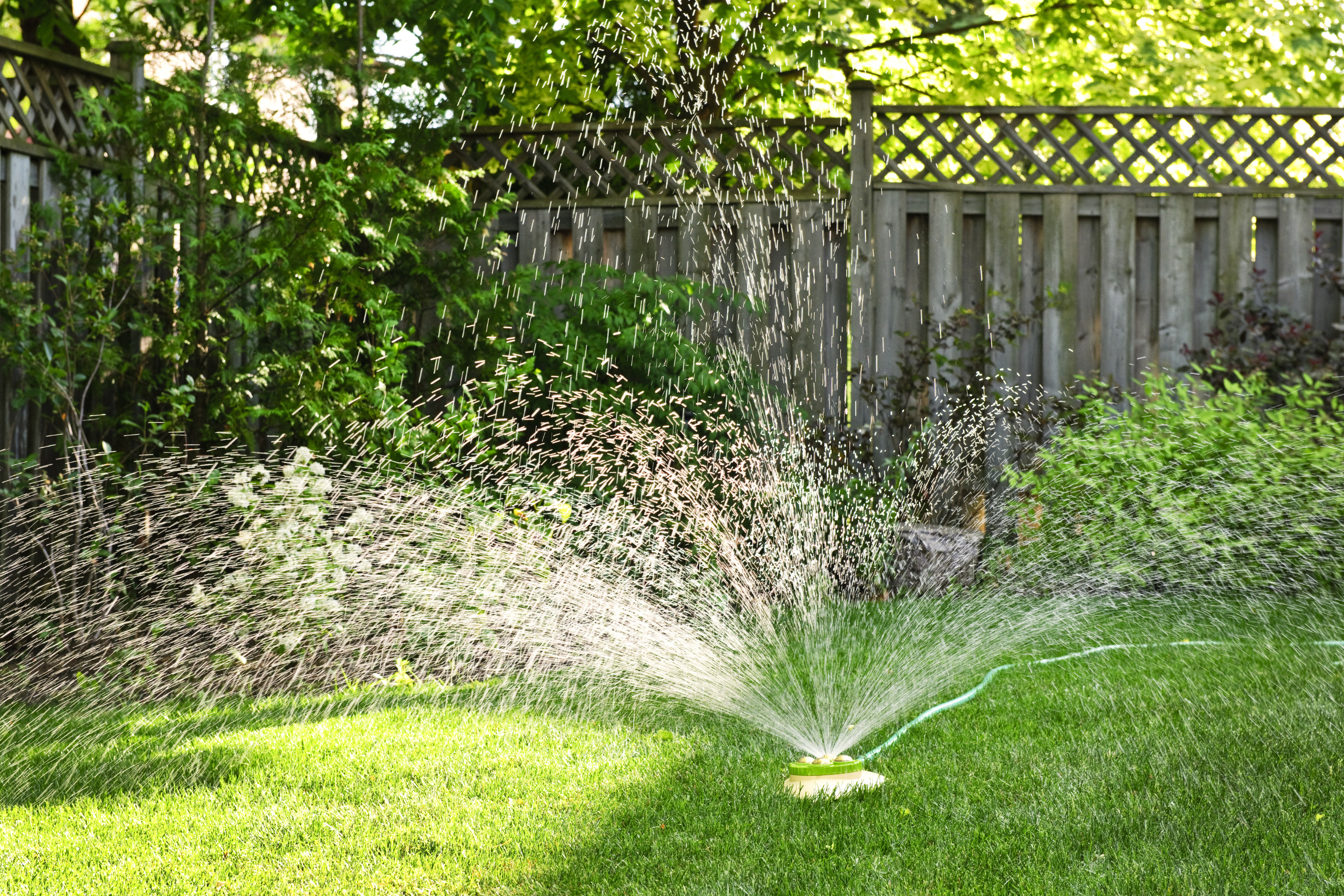 sprinkler system in Florida- worth it!