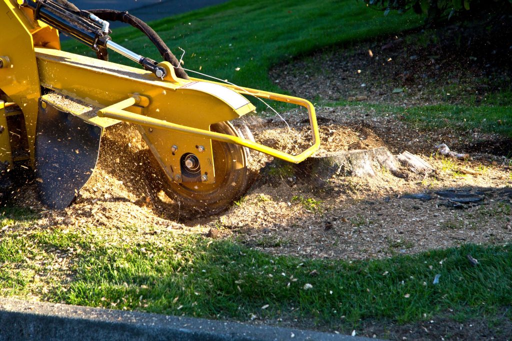 stump grinding and tree removal