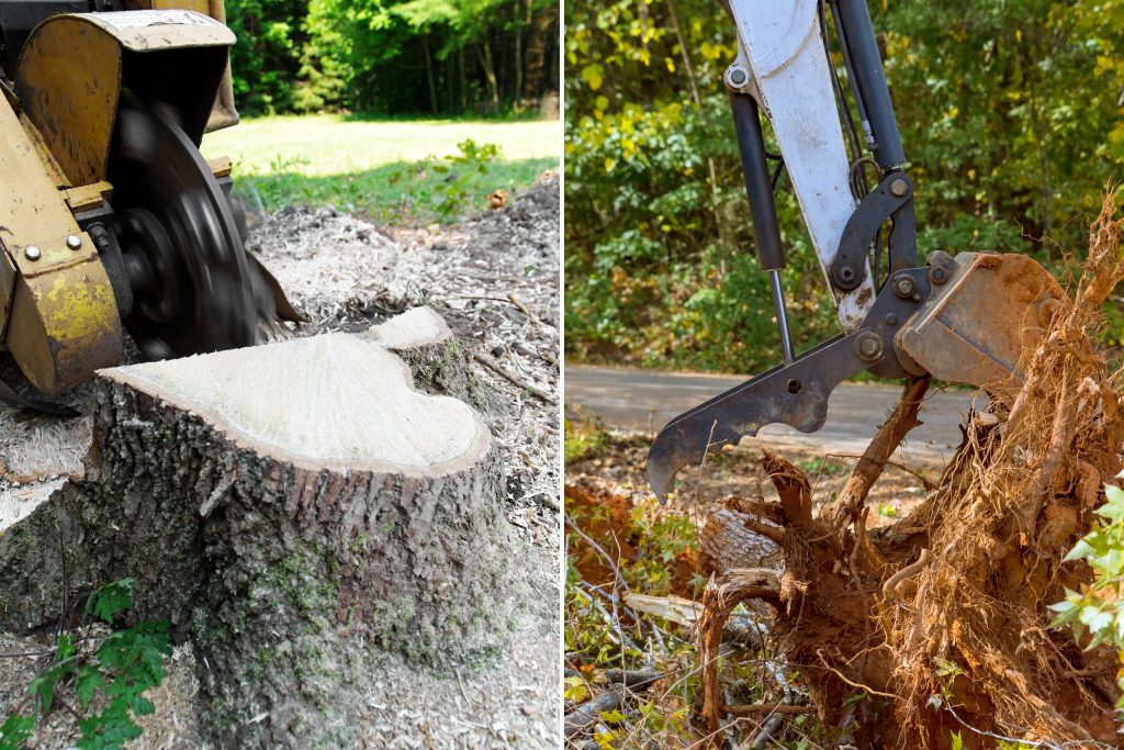 stump grinder (left) vs stump removal (right)