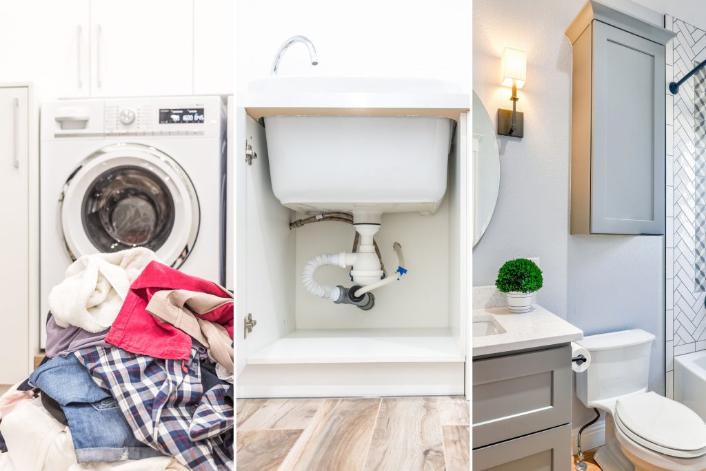 where palmetto bugs live: laundry room, under sinks, bathrooma