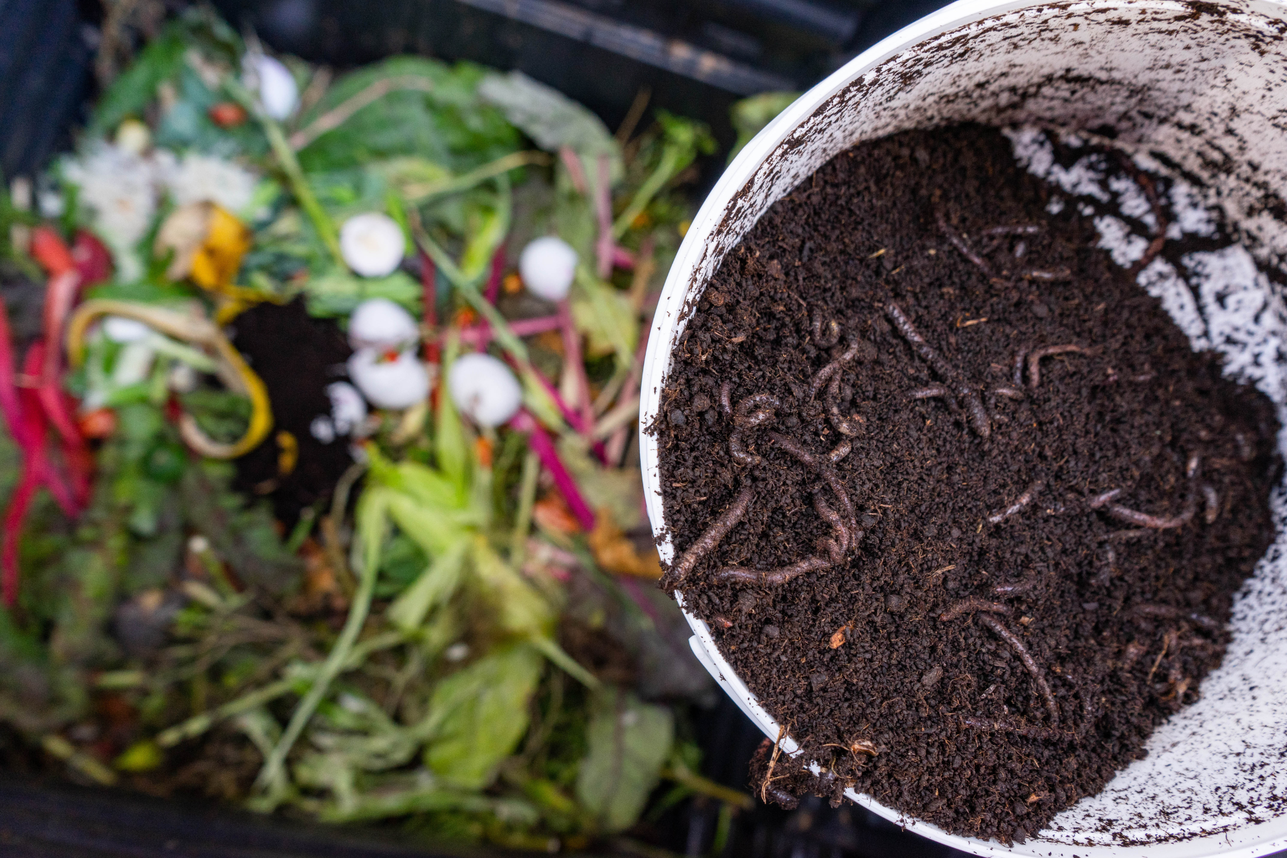 organic compost with food, grass, and leaves