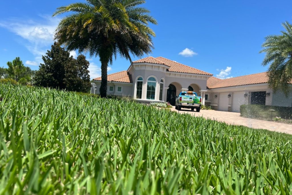 Florida lawn cut crass after rain