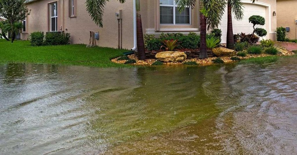 Tampa lawn flodding after Hurricane Milton