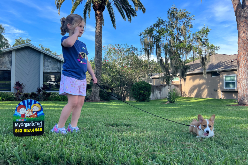 little girl and dog in grass after treating a yard for fleas