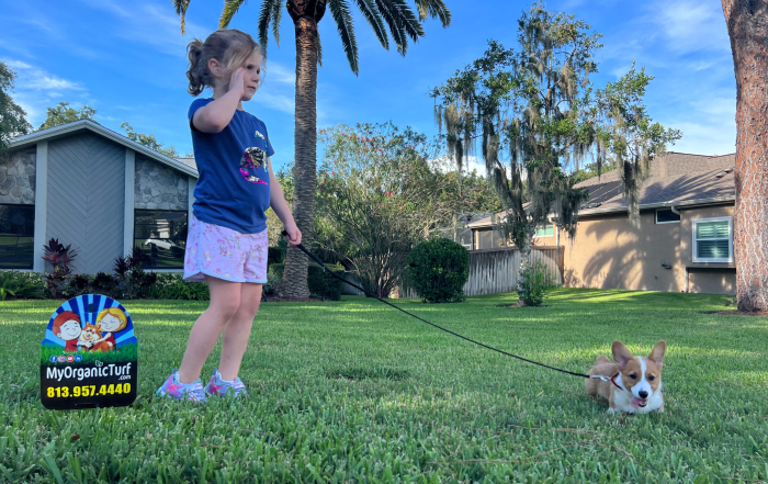 little girl and dog in grass after treating a yard for fleas